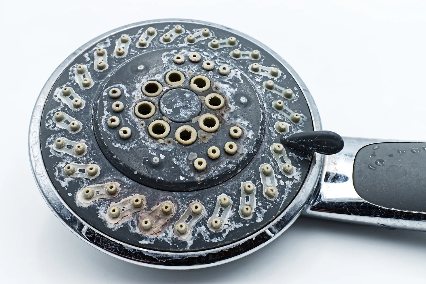 How to Clear a Clogged Shower Head StoneStream