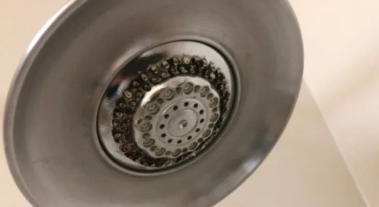 Bacteria and Mould on A Shower Head | How to Clean A Shower Head ...