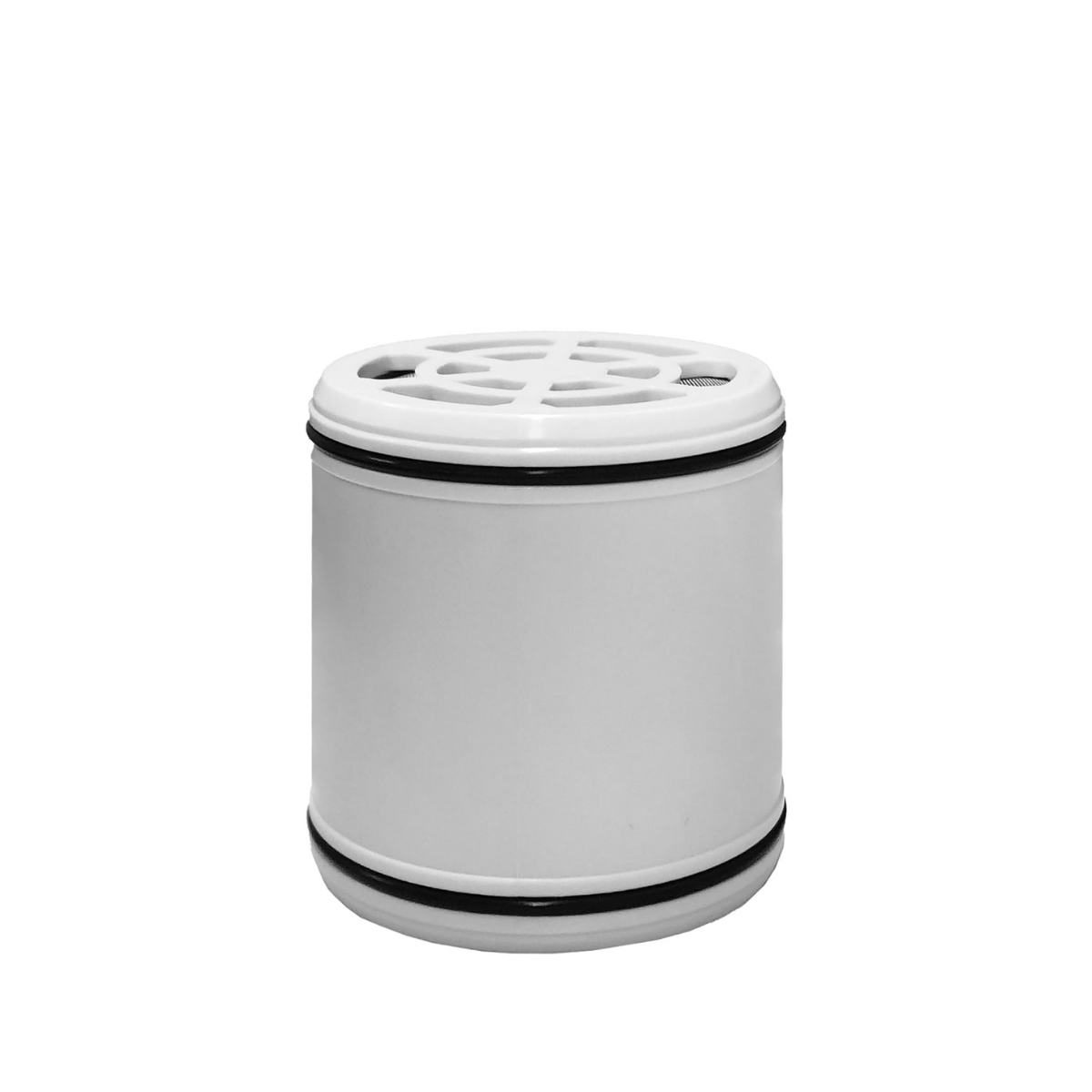 Replacement Cartridge for Shower Head with Rainfall Spray – StoneStream